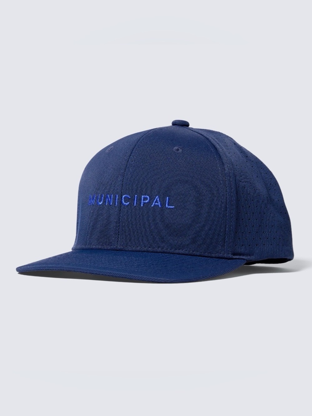 Municipal Standard Issue Flexfit Hat